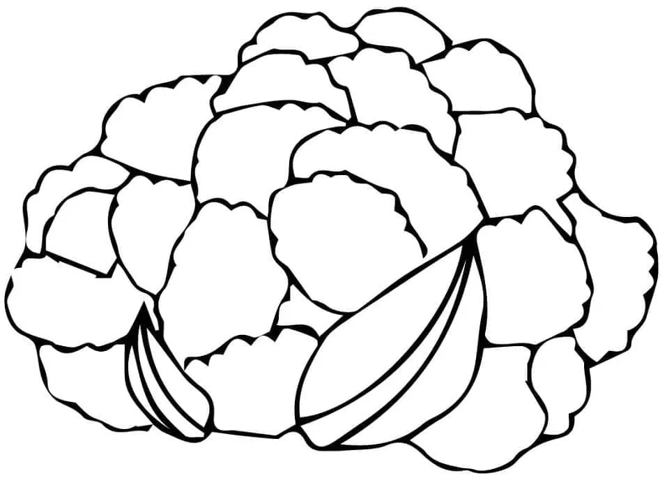 Chou Fleur 6